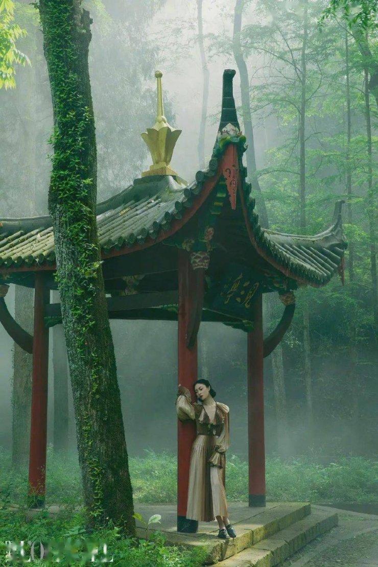 汇聚商务力量，践行志愿精神 | 顺义商务新时代文明实践志愿服务队“出发”啦！（十三）
